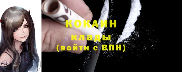 МДПВ Лиски