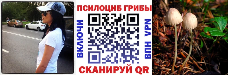 гидра онион  даркнет телеграм  Псилоцибиновые грибы мухоморы  Староминская 
